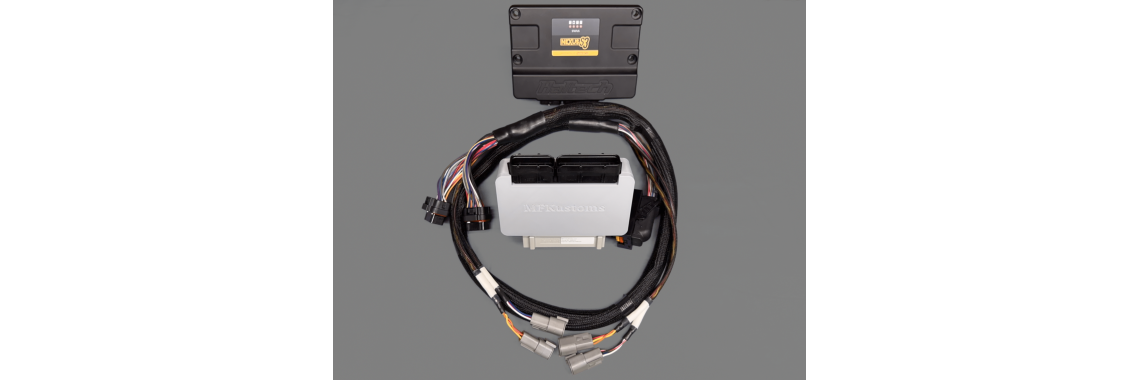 1986-93 PnP EFI Haltech