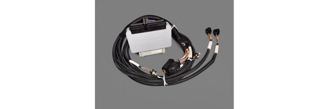 1994-95 PnP EFI - DW